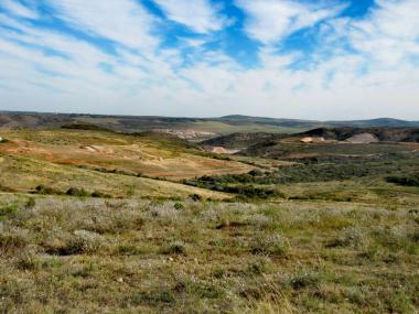 0 Bedroom Property for Sale in Outeniquasbosch Western Cape